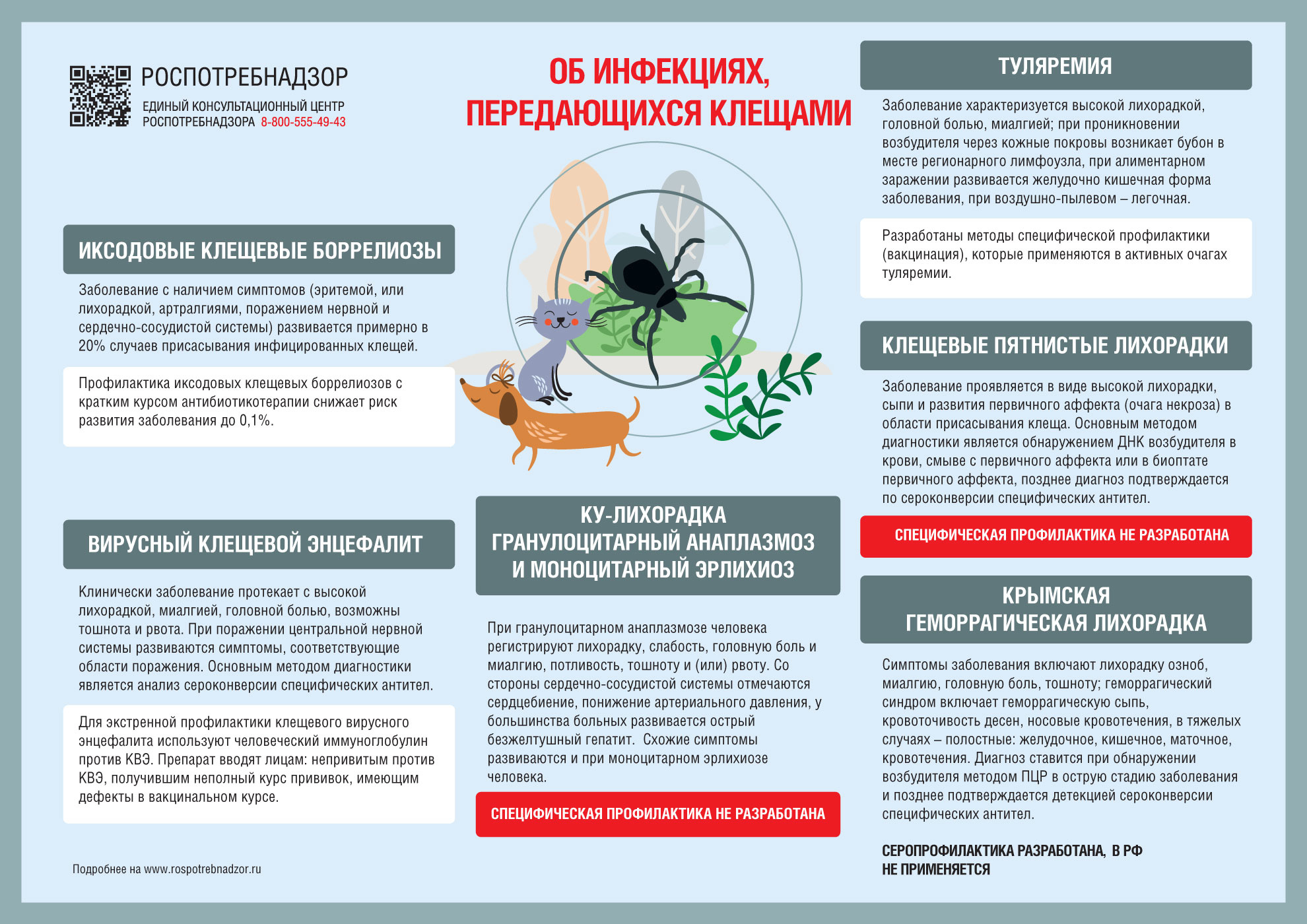 Памятка Об инфекциях, передающихся клещами.